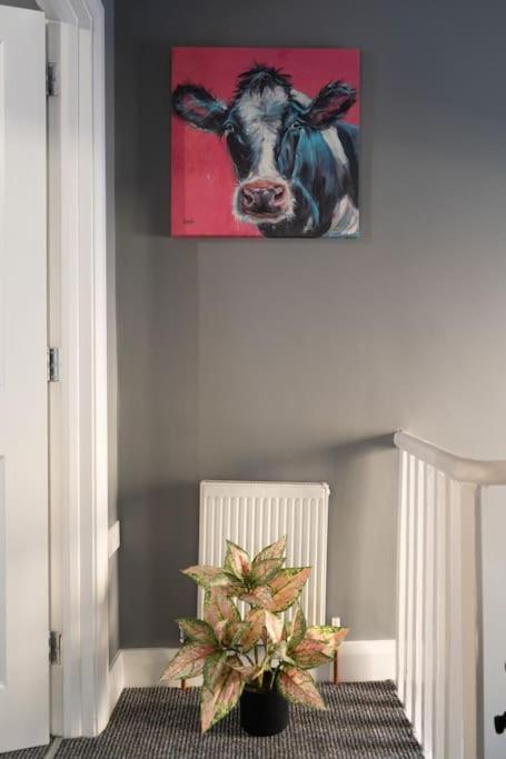 Vibrant City Centre Townhouse With Free Parking Rare Outdoor Patio Belfast Exterior foto